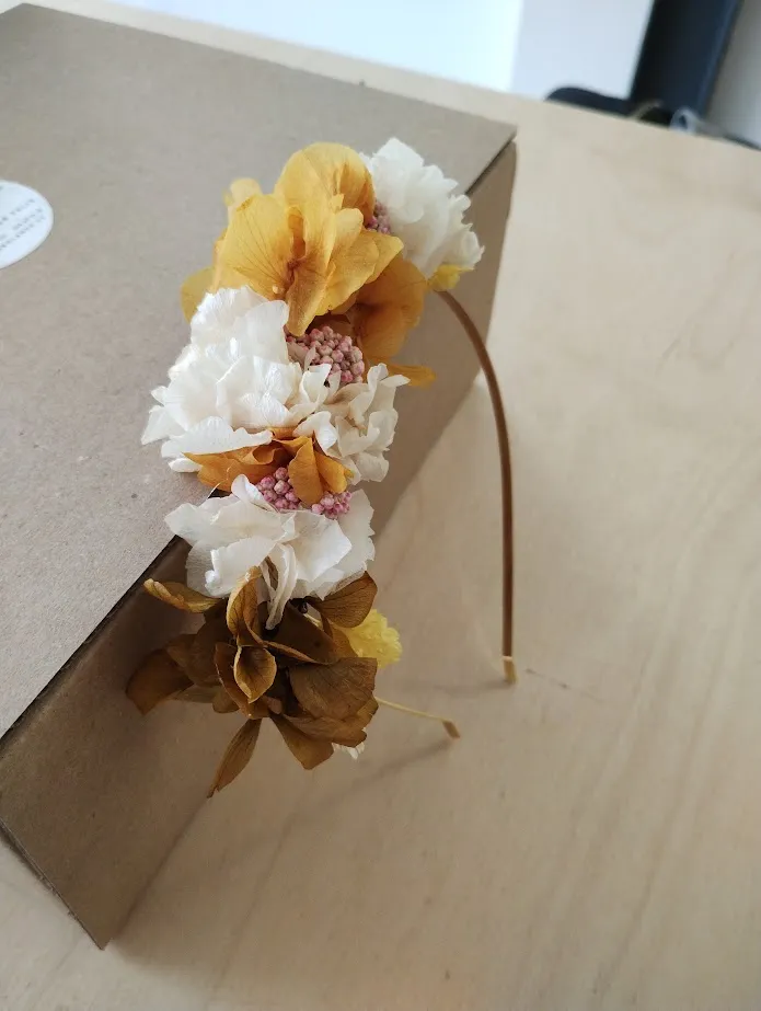 Diadema preservada