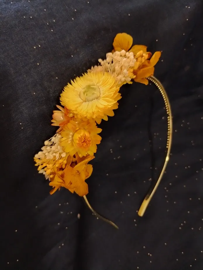 Diadema preservada