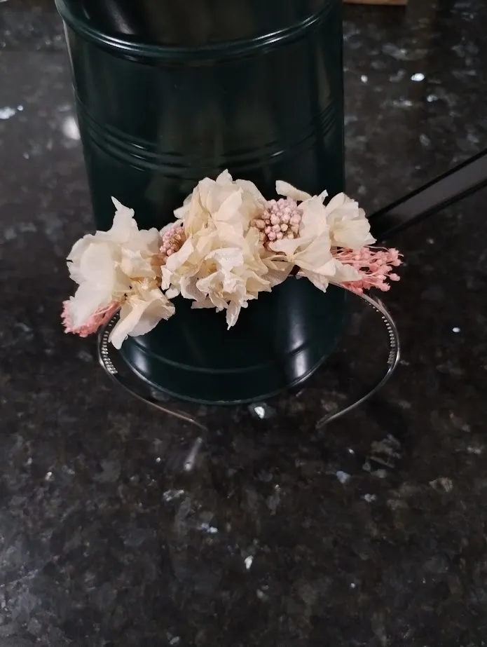 Diadema preservada
