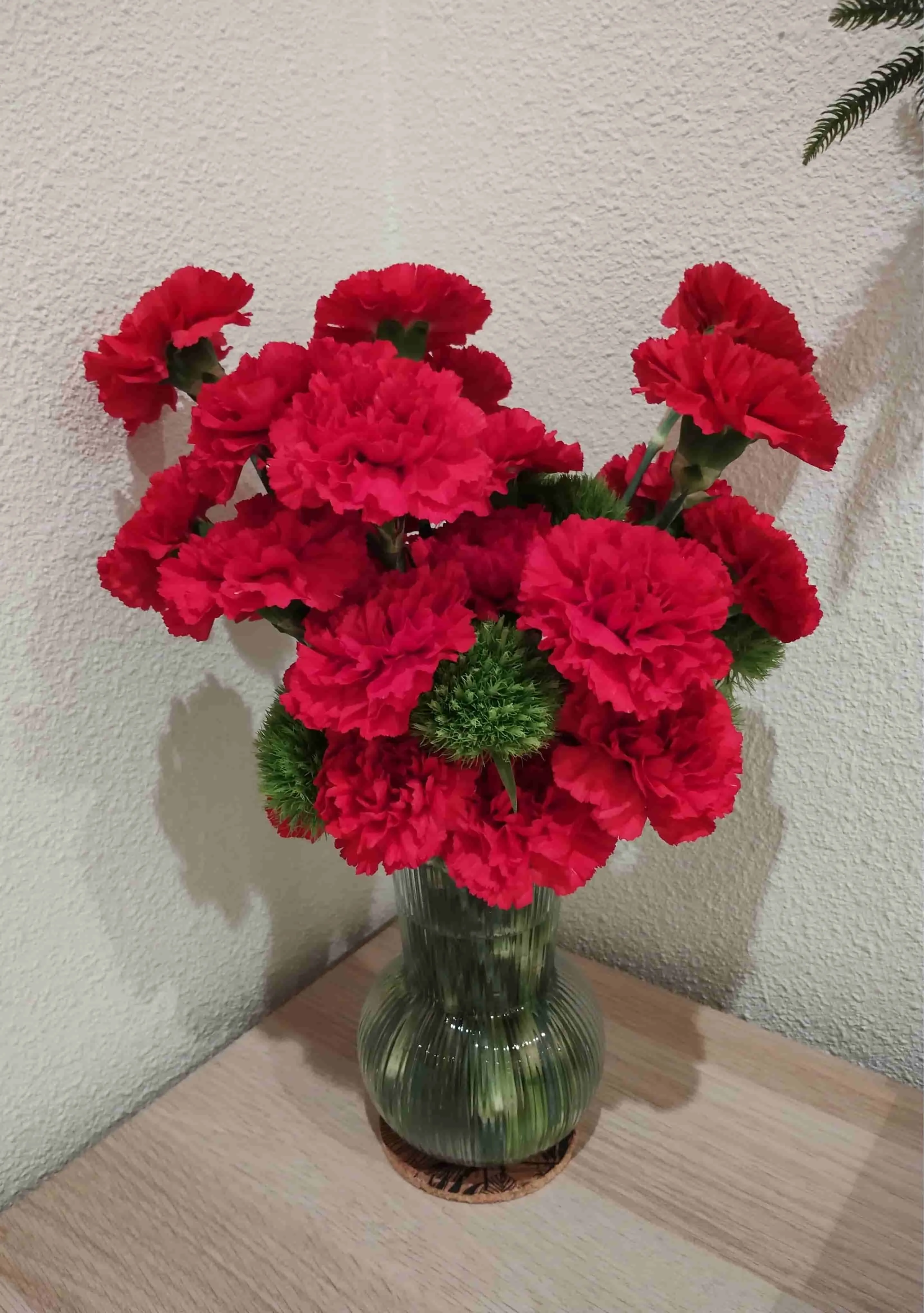 Jarrón de Claveles Rojos