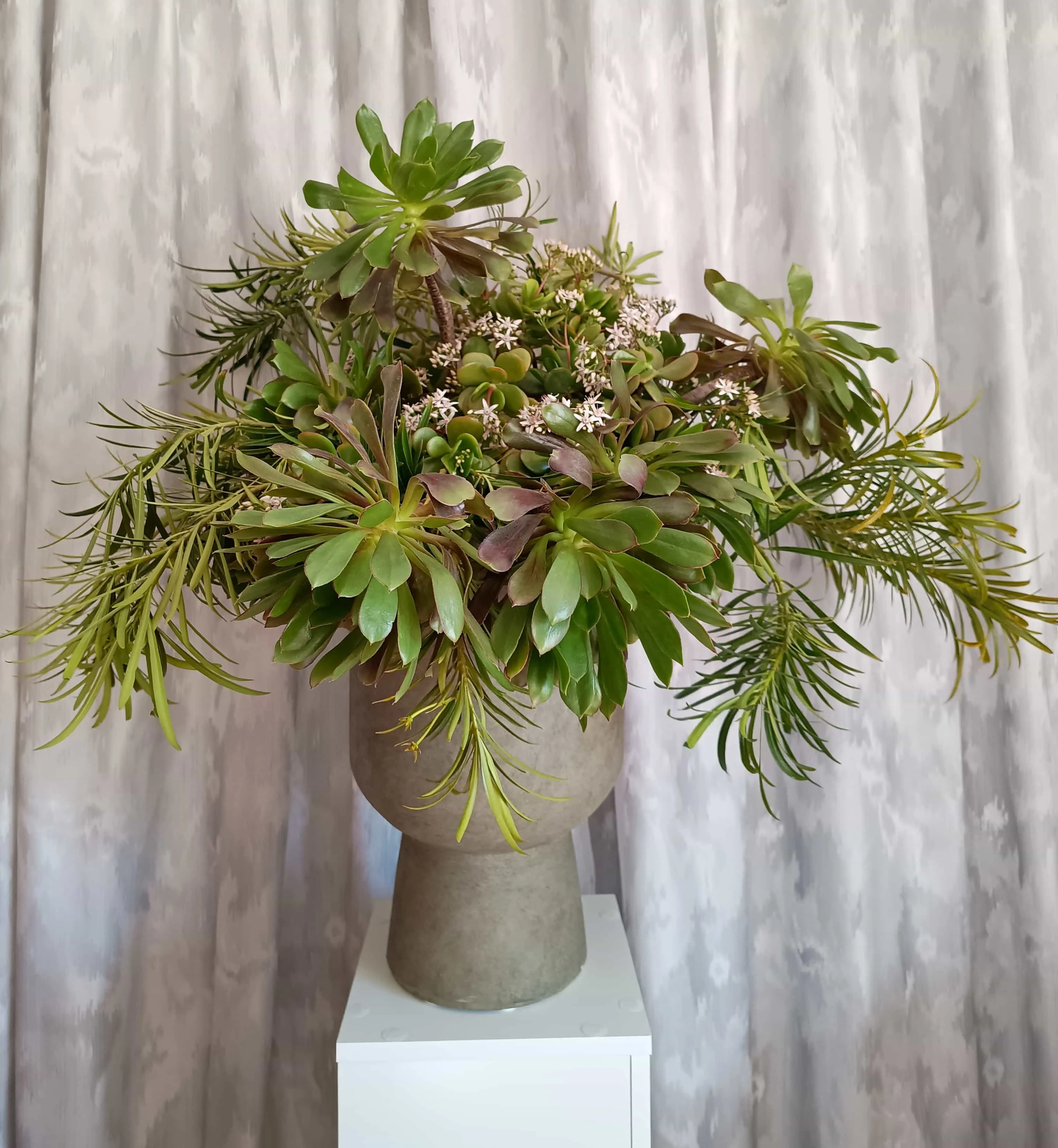 Arreglo floral de suculentas y copa de hormigón como recipiente