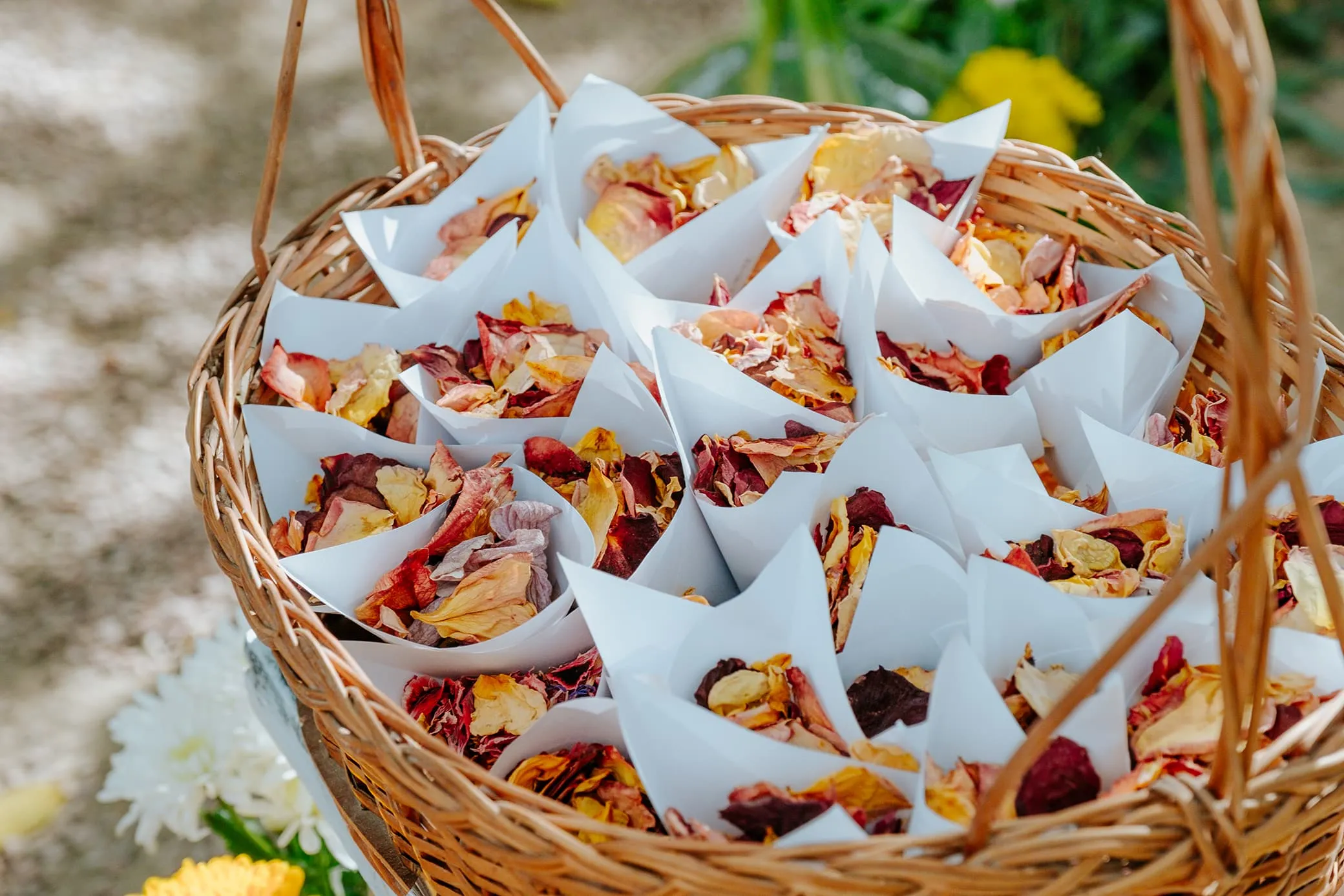 Pétalos de rosas secos