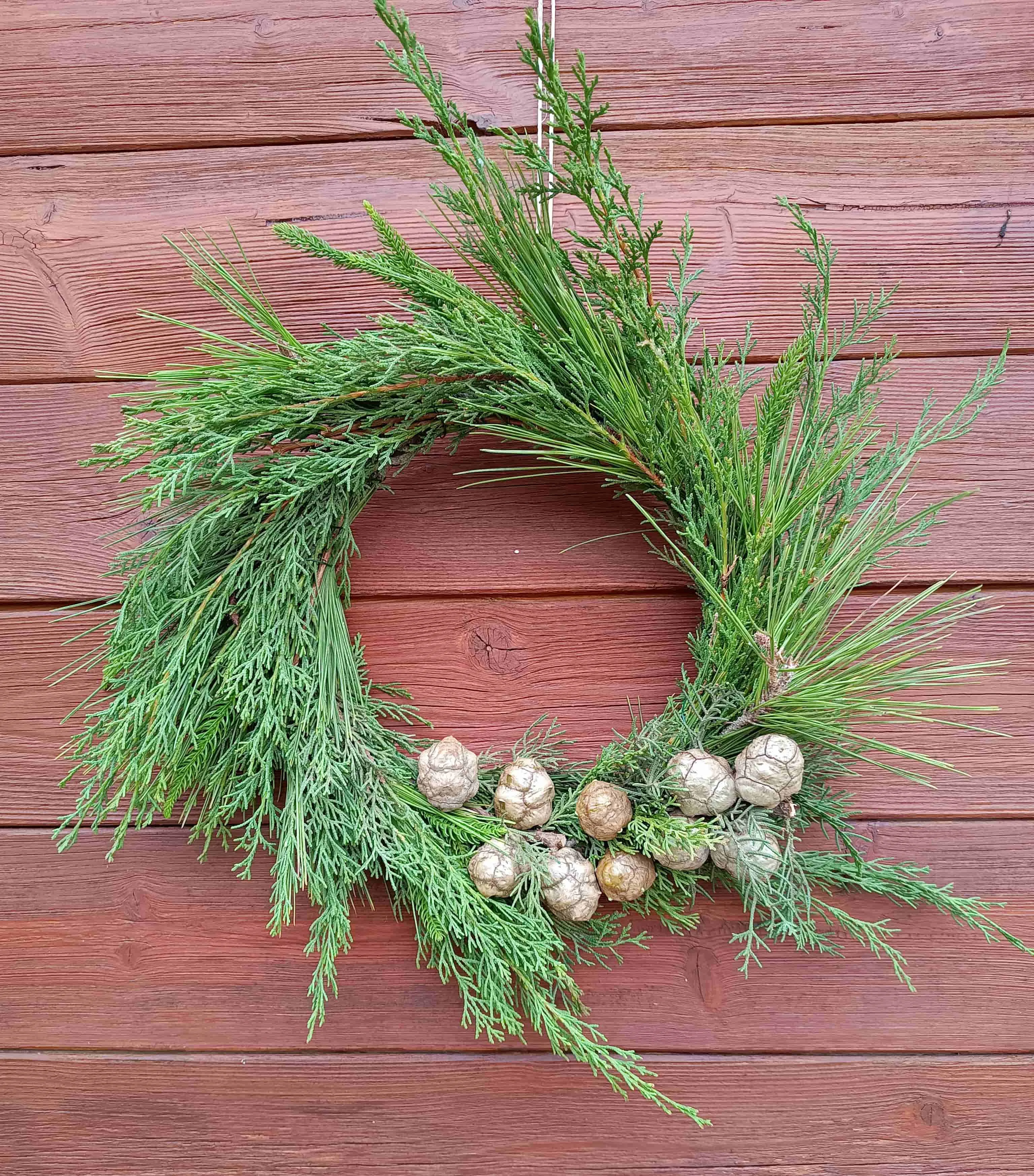 corona verde y piñas de ciprés