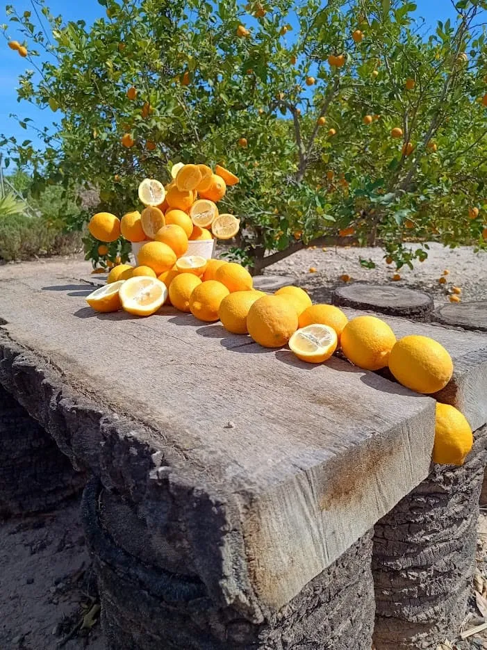 Limones