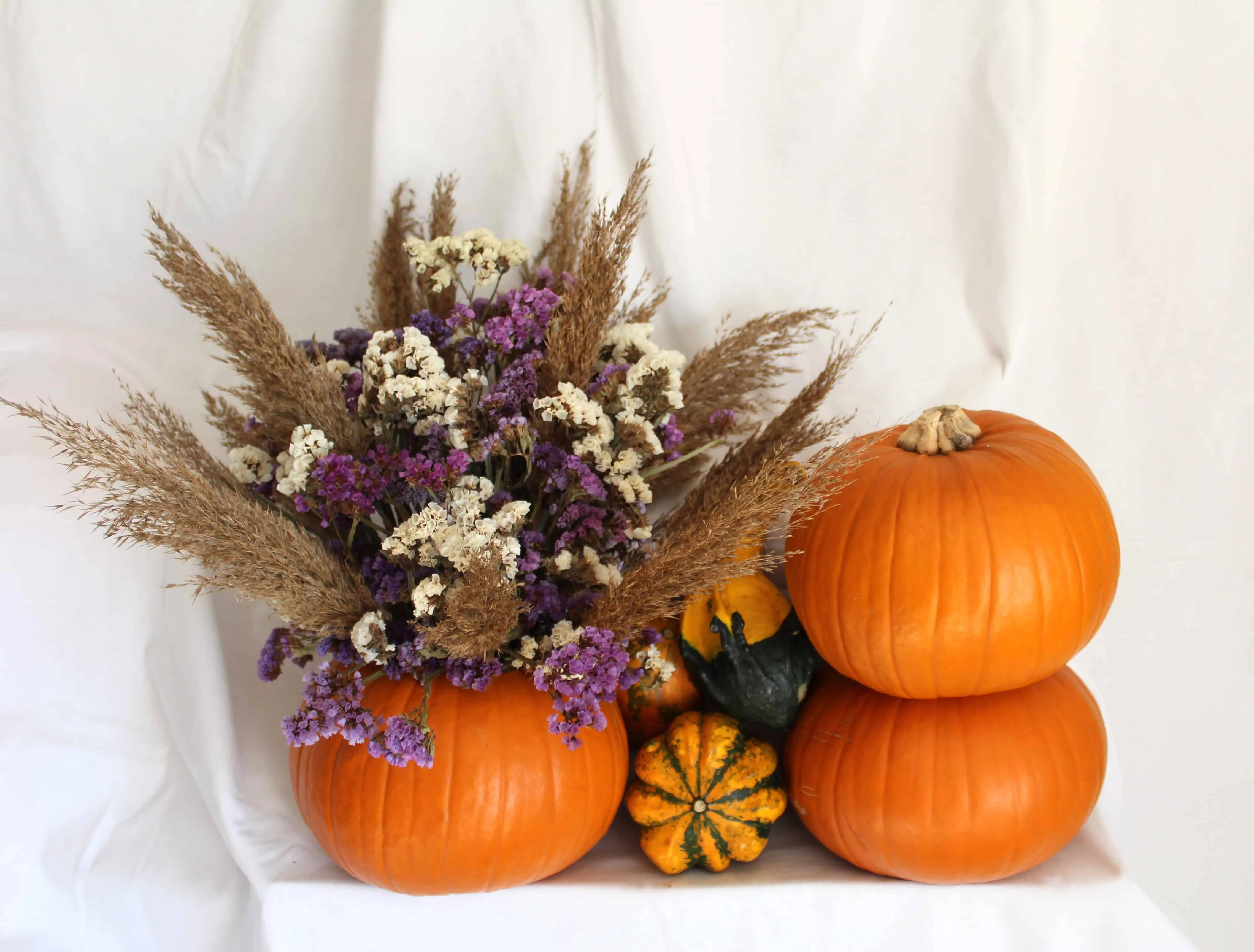 Instalación de calabazas