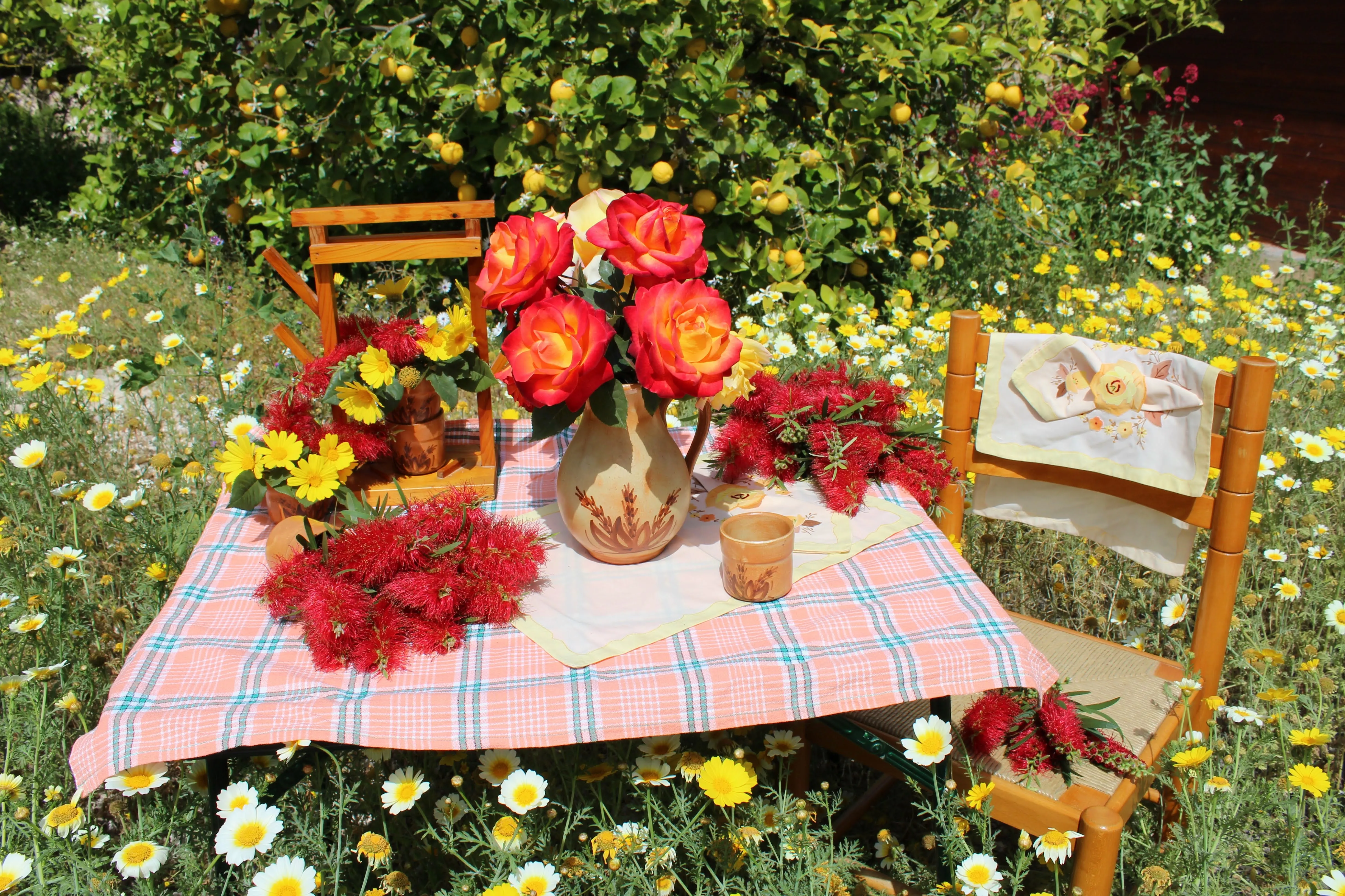 Picnic entre flores