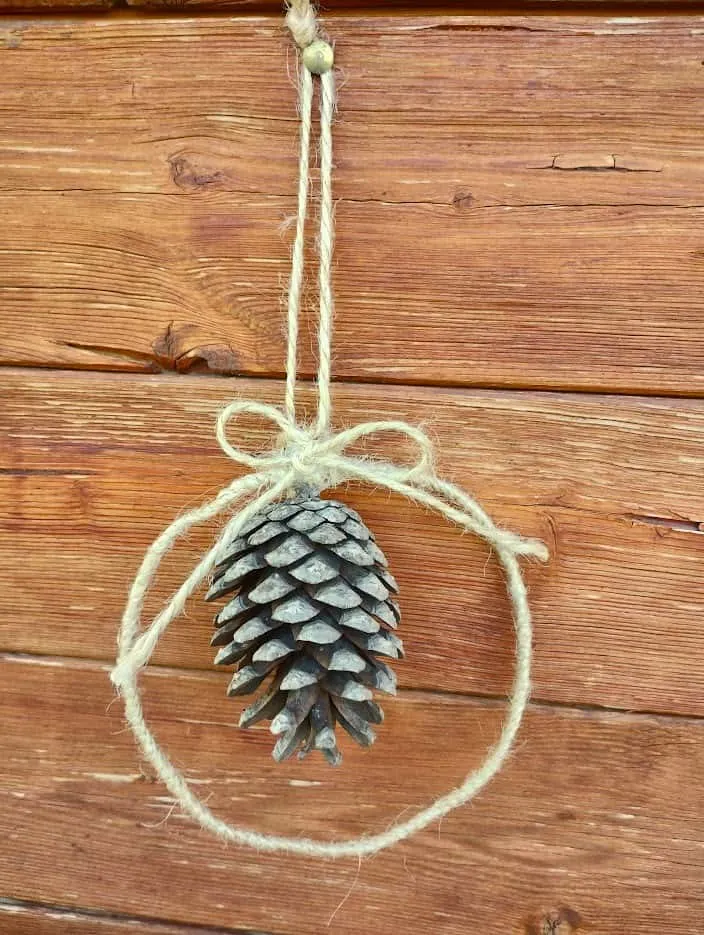 Piña en aro