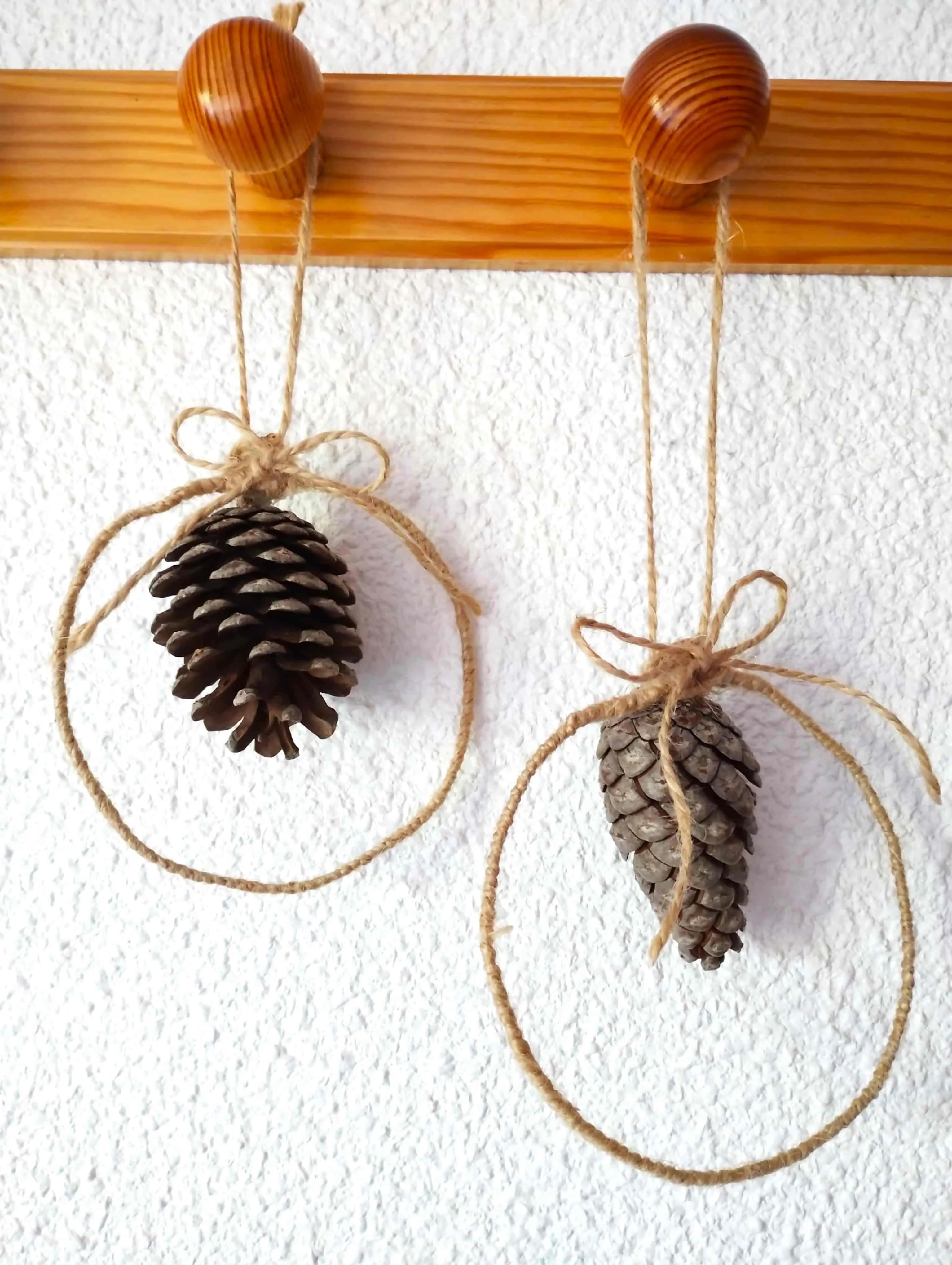 Piñas en aros