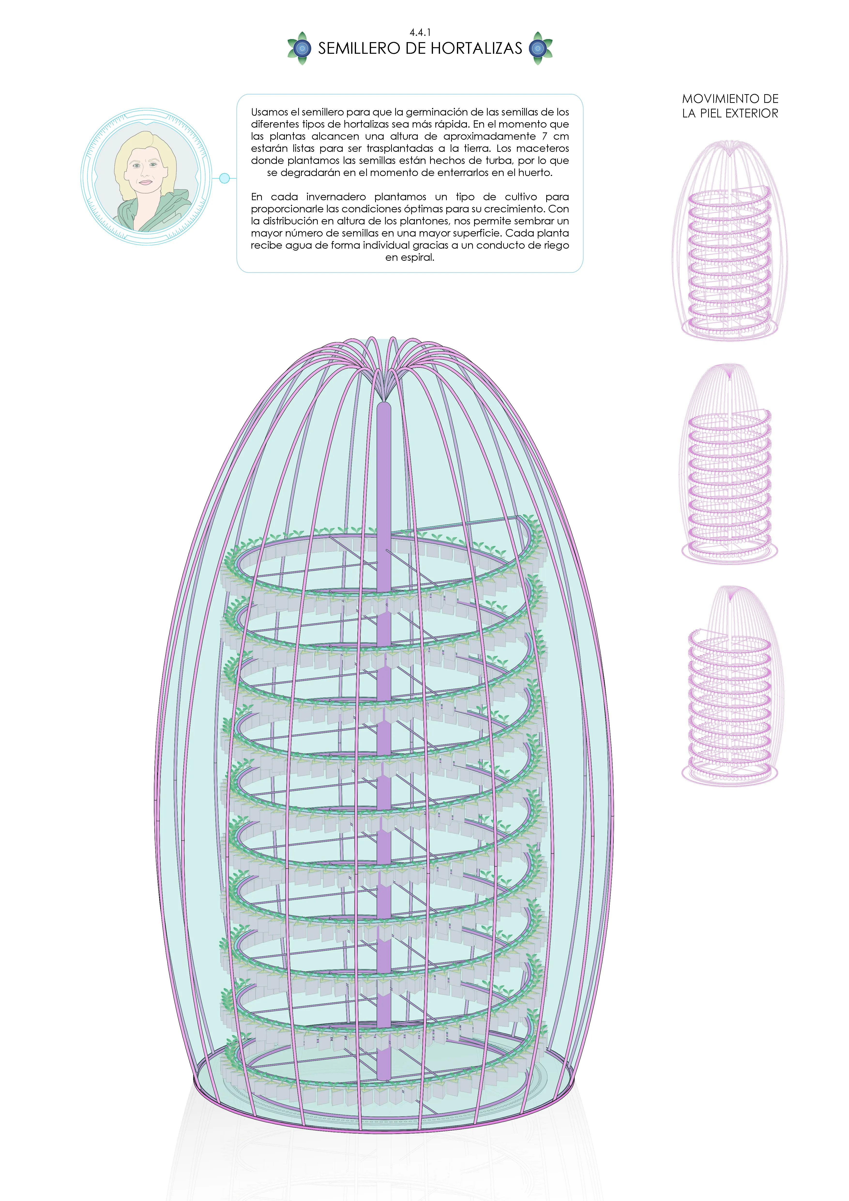 Semillero — Hortaliza