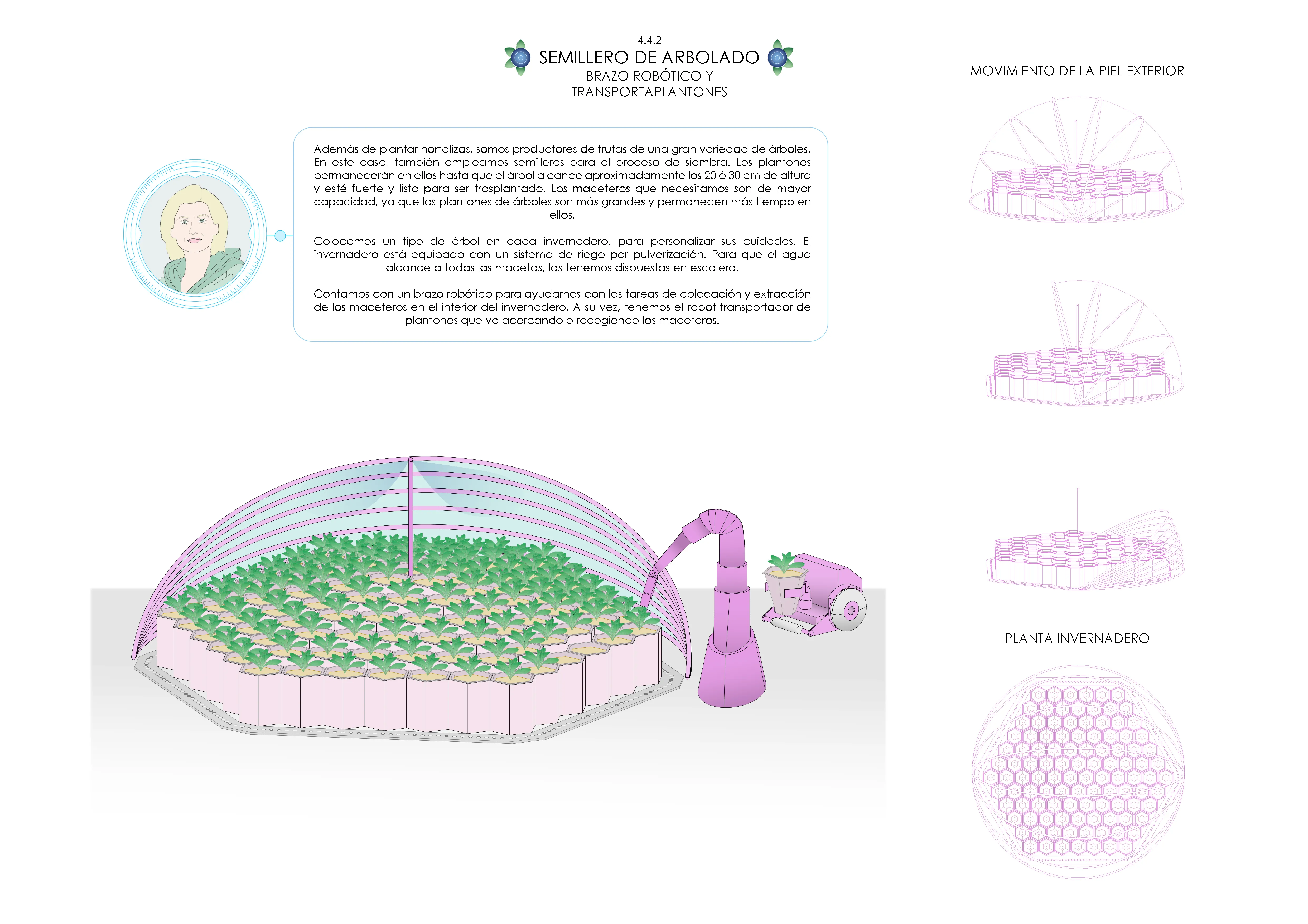Semillero — Arbolado