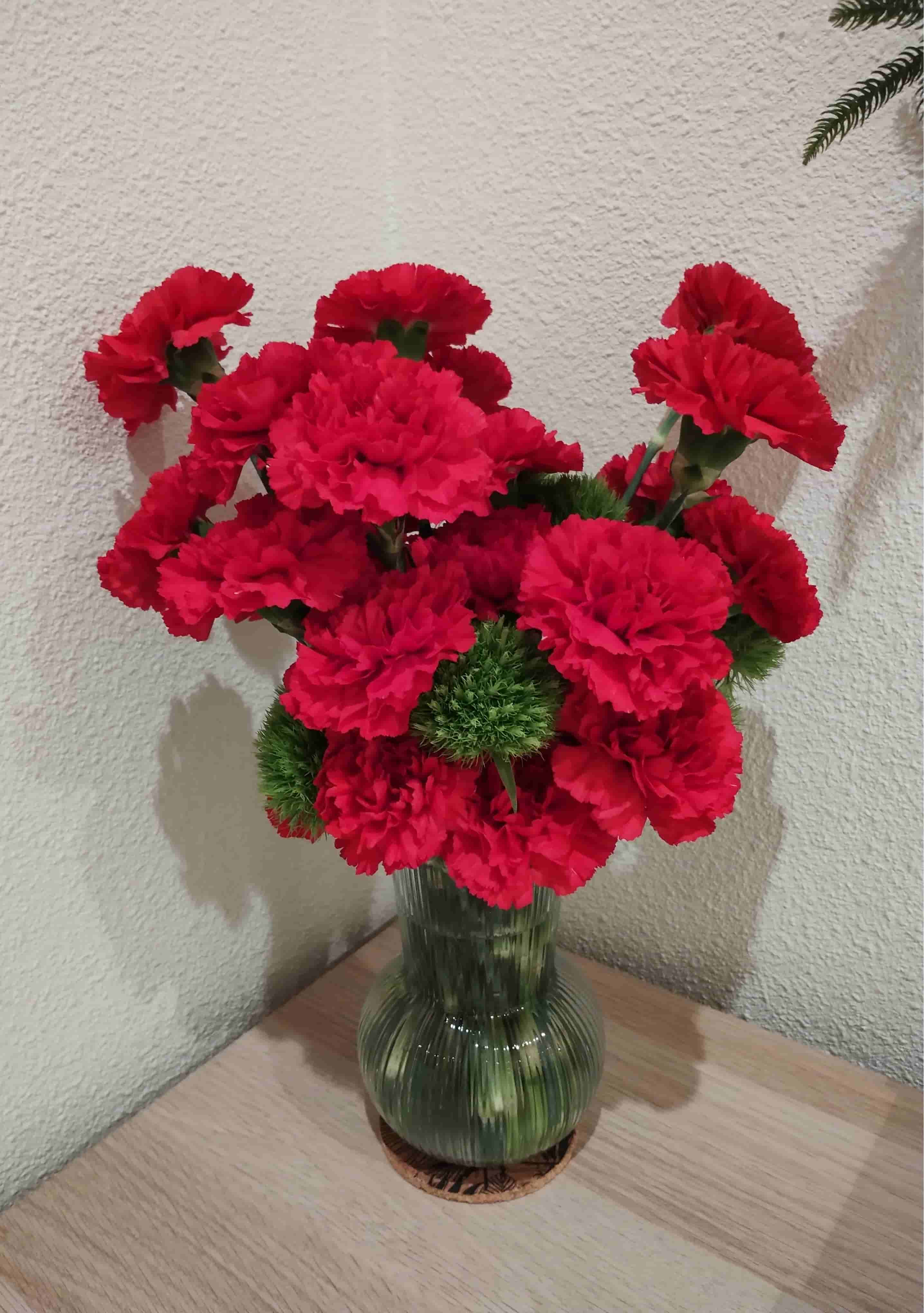 Jarrón de Claveles Rojos