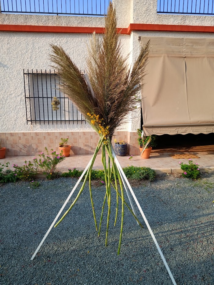 Listones con cañas