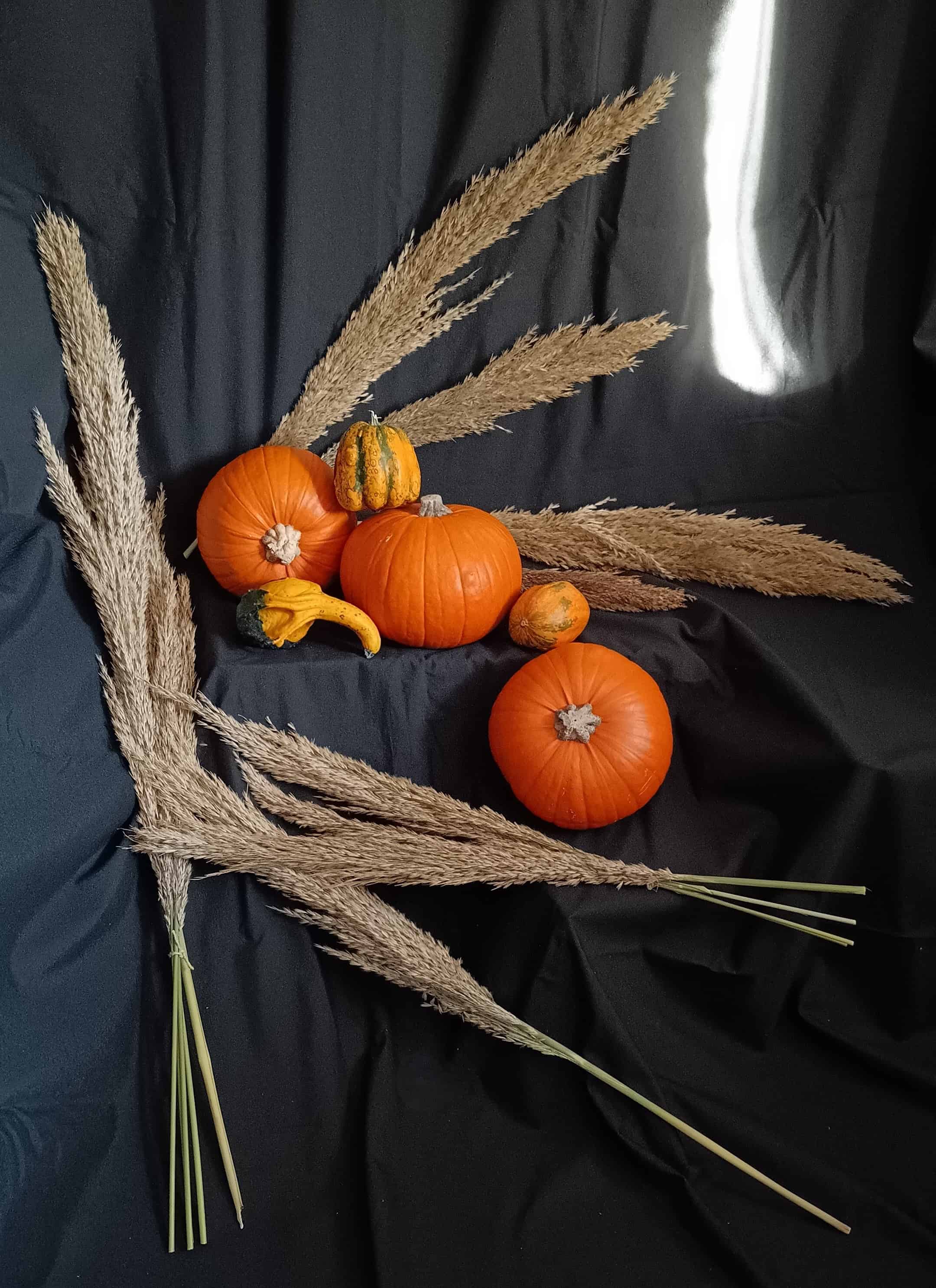 Instalación de calabazas
